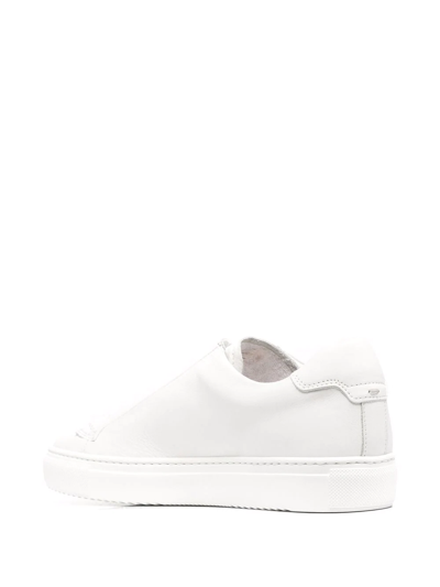 Shop Doucal's Glattleder Low-top Sneakers In White