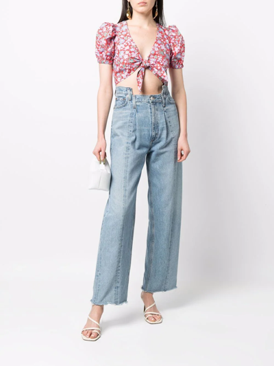 Shop Versace Jeans Couture Floral-print Crop Top In Rot