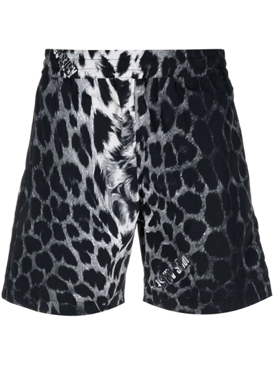 Shop Aries Animal Print Leopard Shorts In Weiss