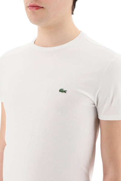Shop Lacoste Logo T-shirt In White