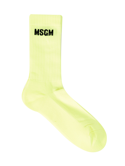 Shop Msgm Socks In Yellow