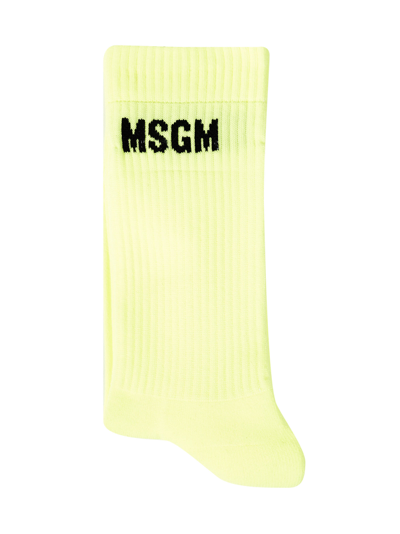 Shop Msgm Socks In Yellow