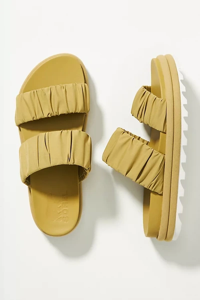Shop Sorel Roaming Two-strap Slide Sandals In Green