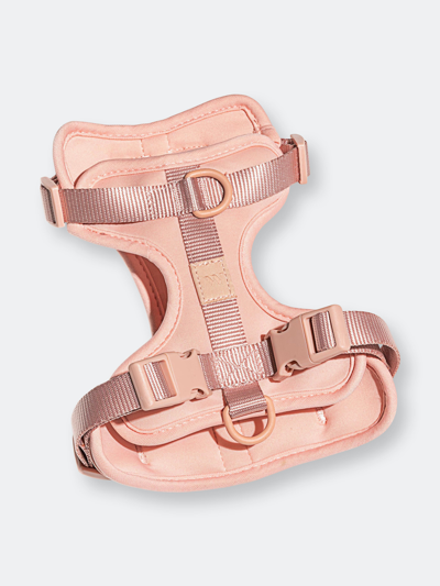 Shop Wild One Pet Harness In Pink