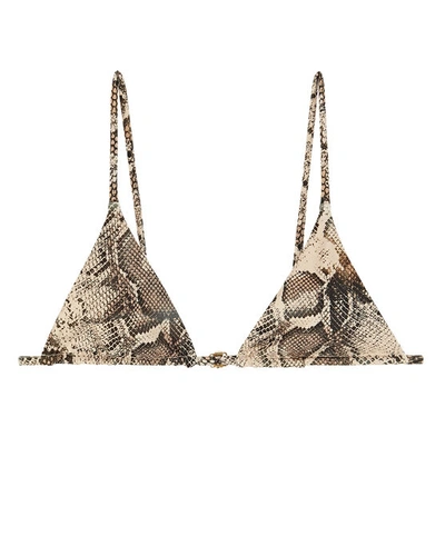 Shop Aexae Snake Print Triangle Bikini Top In Multi