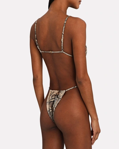 Shop Aexae Snake Print Triangle Bikini Top In Multi