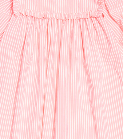 Shop Morley Paige Striped Ruffled Cotton Dress In Candy