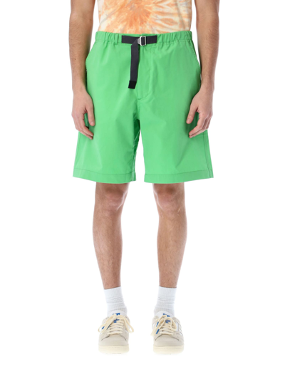 Shop Kenzo Belted Shorts In Mint
