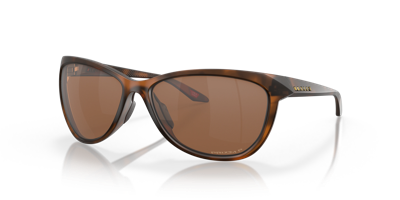 Shop Oakley Pasque Sunglasses In Brown