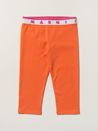 Shop Marni Cotton Blend Leggings In Orange