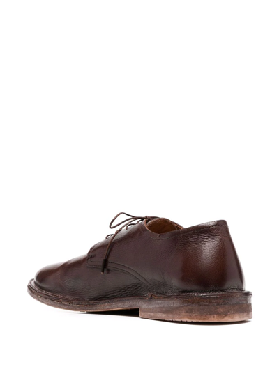Shop Moma Lace-up Leather Shoes In Braun