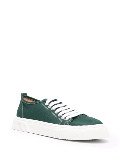 Shop Ami Alexandre Mattiussi Canvas Low-top Sneakers In Green
