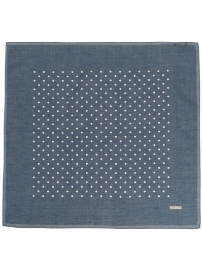 Shop Lardini Spot-print Lien Scarf In Blau