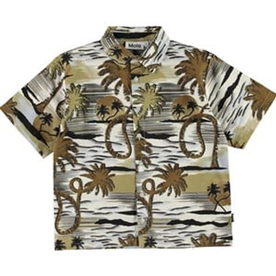 Shop Molo Sunset Smiles Rass Shirt In Brown