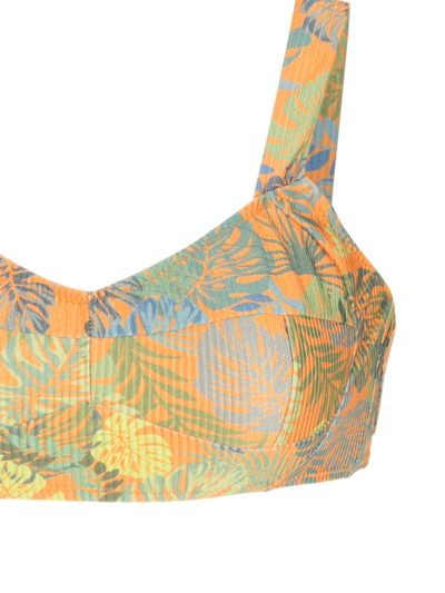 Shop Amir Slama Palm Leaf Print Bikini In Orange