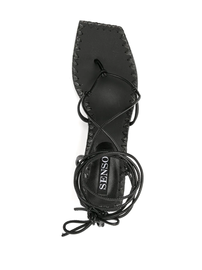 Shop Senso Maya Ankle-tie Sandals In Black