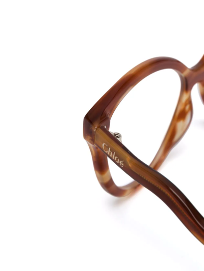 Chloé Wave-arm Round Tortoiseshell Glasses In Brown