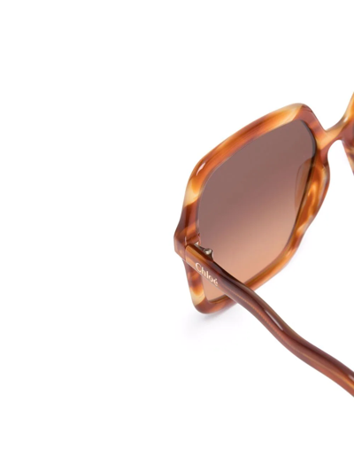 Shop Chloé Zelie Square-frame Sunglasses In Brown