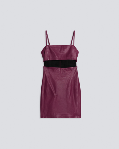 Shop Iro Tabata Leather Dress In Purple