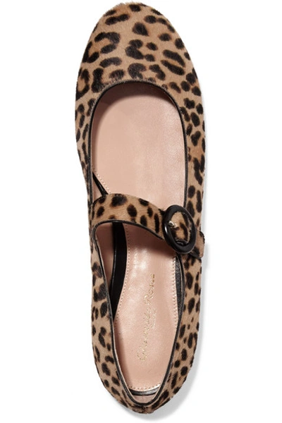 Shop Gianvito Rossi Leopard-print Calf Hair Ballet Flats