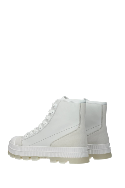 Shop Jimmy Choo Sneakers Nord Leather Ice In White