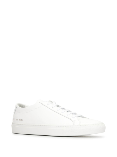 Shop Common Projects Leather Achilles Low Sneakers In White