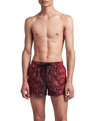 Shop Dolce & Gabbana Men's Hot Animalier Leopard Swim Shorts In Blk Red Pr