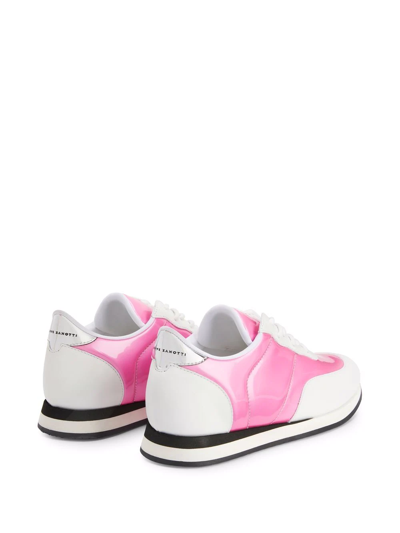 Shop Giuseppe Zanotti Jimi Two-tone Sneakers In Pink