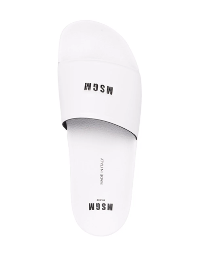 Shop Msgm Logo-print Slides In White