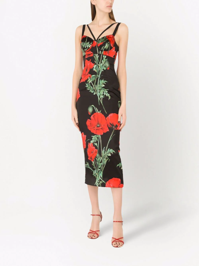 Shop Dolce & Gabbana Poppy-print Fitted Dress In Black