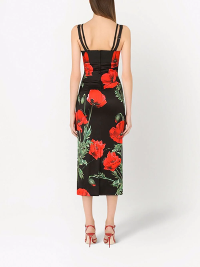 Shop Dolce & Gabbana Poppy-print Fitted Dress In Black