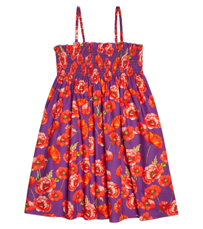 Shop Dolce & Gabbana Floral Printed Shirred Cotton Dress In Papaveri Fdo Viola
