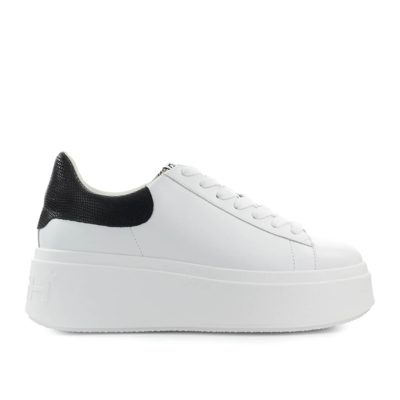 Shop Ash Moby White Black Sneaker In Weiss