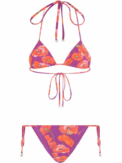 Shop Dolce & Gabbana Bikini Triangolo Con Stampa Papaveri In Violet