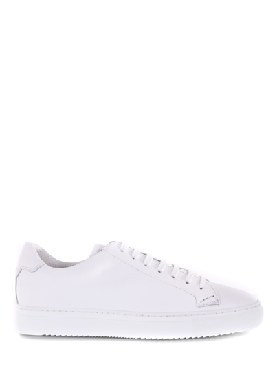 Shop Doucal's Sneakers Doucals Plume In Pelle In Bianco