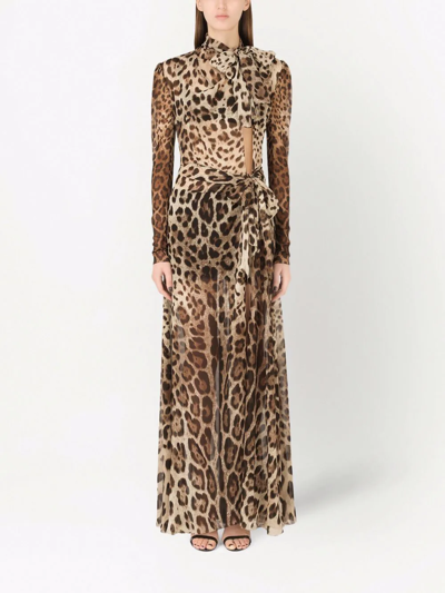 Shop Dolce & Gabbana Leopard-print Georgette Maxi Dress In Braun