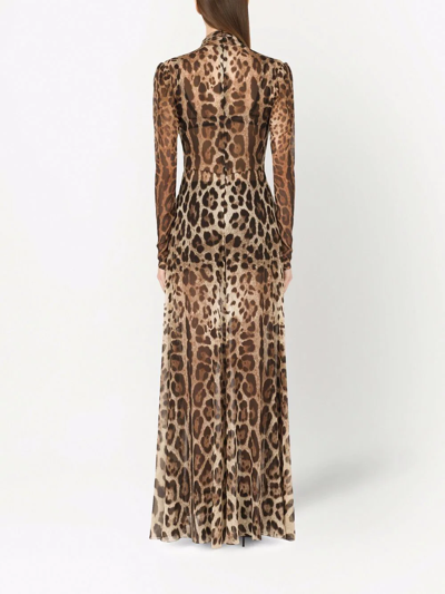 Shop Dolce & Gabbana Leopard-print Georgette Maxi Dress In Braun