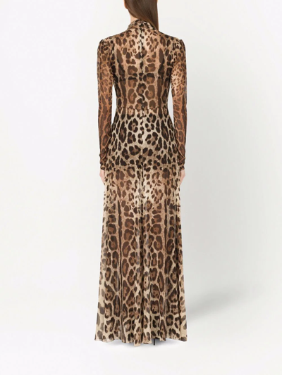 Dolce & Gabbana Tie-front Leopard-print Silk-georgette Maxi Dress In Braun