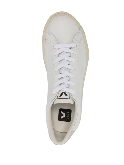 Shop Veja Embroidered-logo Low-top Sneakers In Weiss