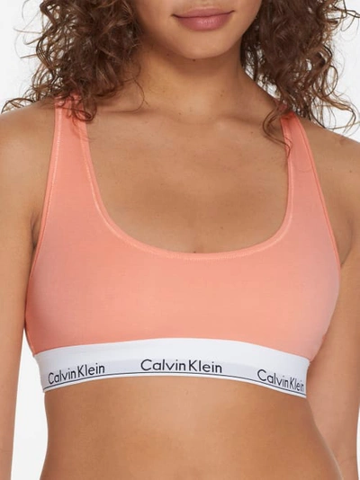 Shop Calvin Klein Modern Cotton Racerback Bralette In Mellow Orange