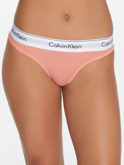 Shop Calvin Klein Modern Cotton Thong In Mellow Orange