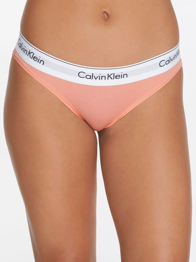 Shop Calvin Klein Modern Cotton Bikini In Mellow Orange