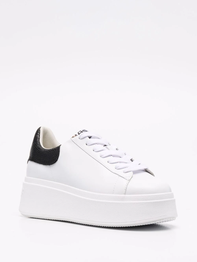 Shop Ash Moby Leather Sneakers In White