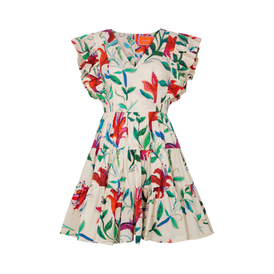 Shop La Doublej Honey Bun Printed Cotton Mini Dress In Multicoloured