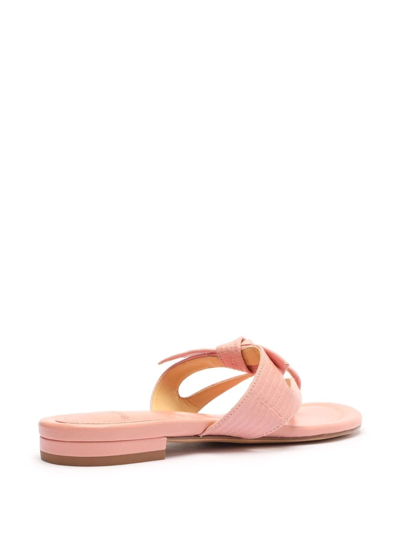 Shop Alexandre Birman Clarita Summer Flat Sandals In Rosa