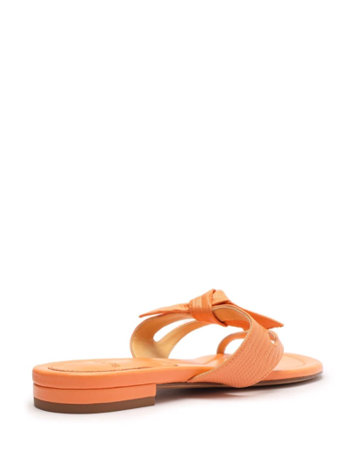 Shop Alexandre Birman Clarita Summer Flat Sandals In Orange