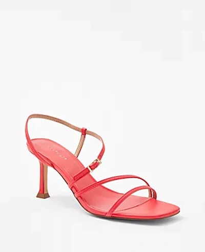 Shop Ann Taylor Leather Strappy Heeled Sandals In Hibiscus