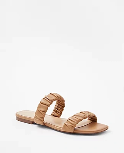 Shop Ann Taylor Leather Ruched Flat Slide Sandals In Dominican Sand