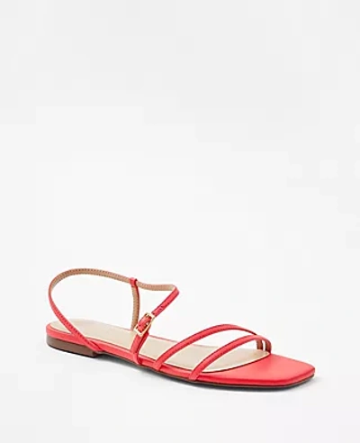 Shop Ann Taylor Leather Strappy Flat Sandals In Hibiscus