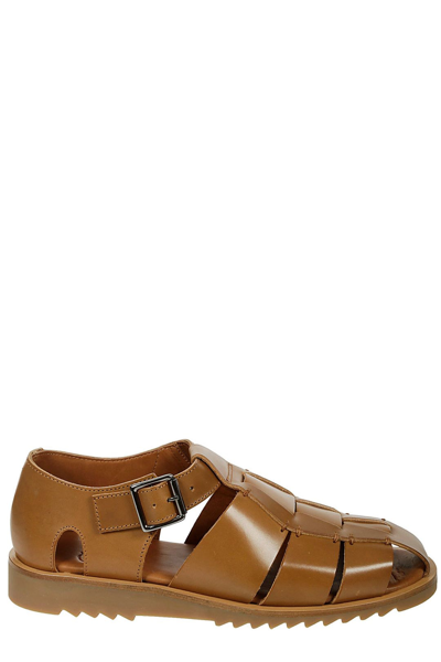 Pacific Sport Sandals In Brown